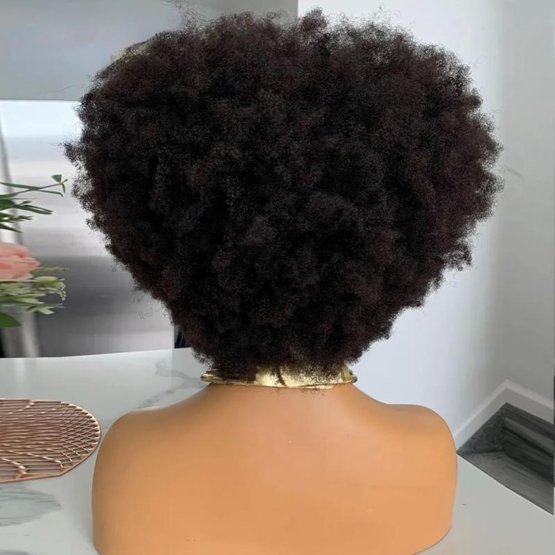 Synthetic Wigs* | Black Lace Front Human Hair Wigs With Bangs Short Bob Afro Kinky Curly Lace Frontal Wig For Black Women Full 180% Density Synthetic Wigs* Synthetic Wigs*