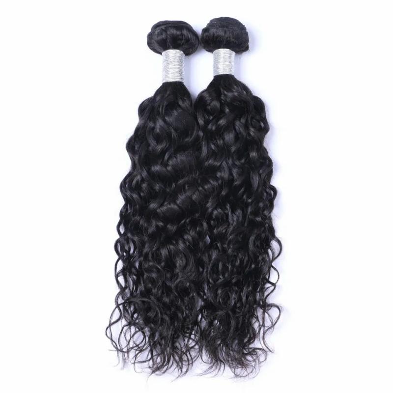 Hair Extensions | Brazilian Virgin Human Hair Water Wave Unprocessed Remy Hair Weaves Double Wefts 100G/Bundle 2Bundle/Lot Can Be Dyed Bleached Hair Extensions Hair Extensions